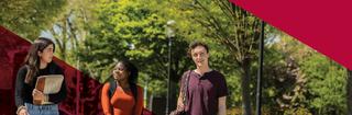Three undergraduate students stroll through campus with trees behind them.